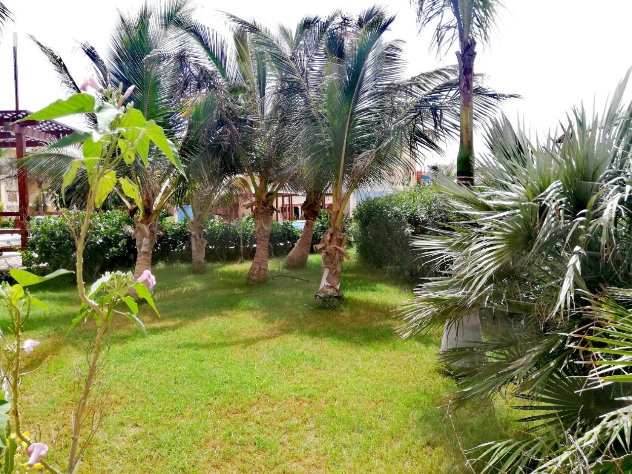 Apartment | In Tropical Resort | Pool | Close To Beach Санта-Марія Екстер'єр фото